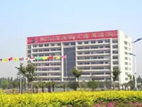 b3.jpg