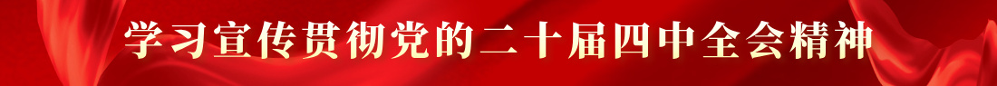 栏目图片-学习二十届四中全会精神.jpg